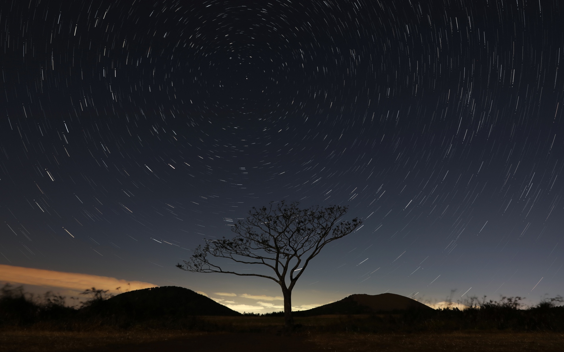 快手平台24小时自助下单：低价获取真实粉丝的最佳解决方案